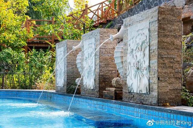 中医药、温泉、养生阿胶，济南的“康养密码”在这里！