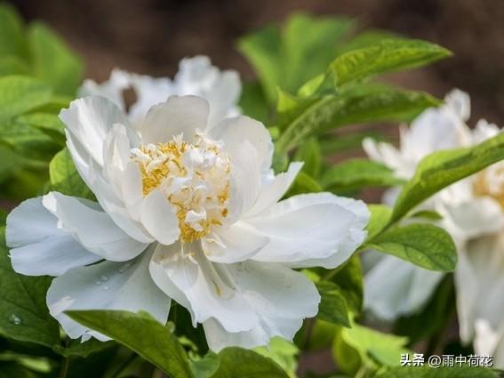 晚年苦不苦，全看七十五：这4手备好，余生安稳舒心