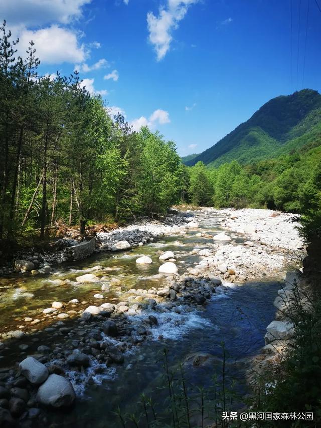 秋天，邀你看一看藏在黑河山间的一场秘境童话