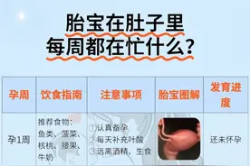 怀孕每周注意事项+饮食指南+胎儿发育图片