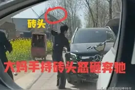 后续！蒜苗被压大妈怒砸奔驰车 奔驰定损37000 河南大妈恐面临刑责图片