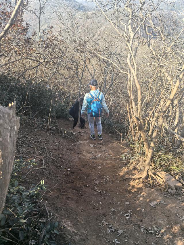 南京第二次到镇江武岐山空青山郊野徒步