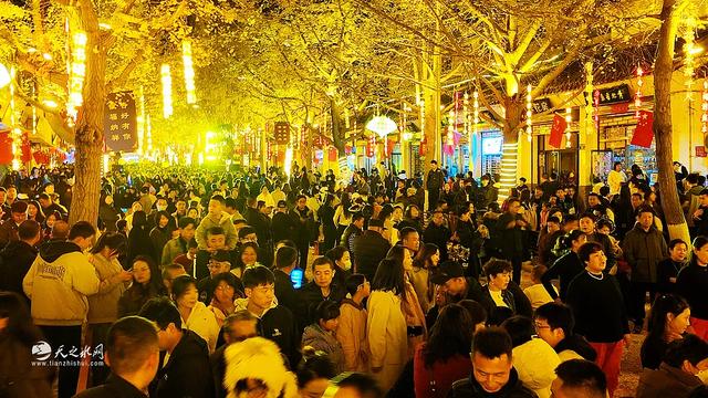 金色长廊映秦州，黄金大道引客来！