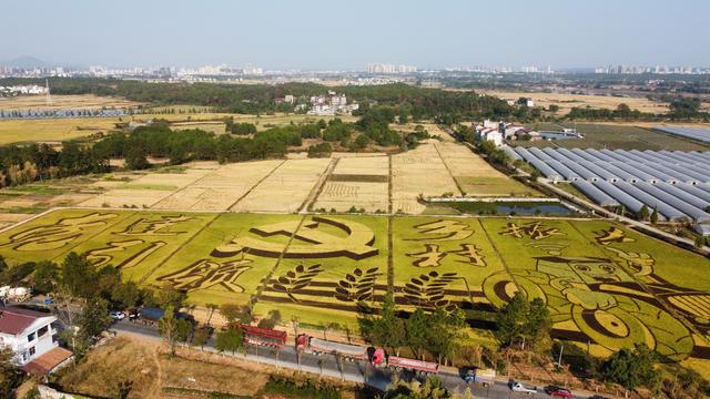江西吉安的赣江，就是“一条大河波浪宽”里那条大河