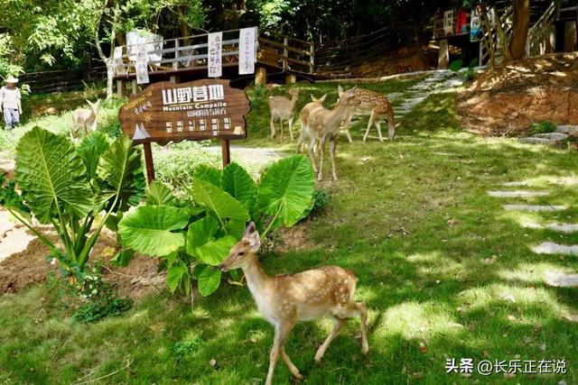 福州新区（长乐区）文旅出圈了！数据颜值双在线~