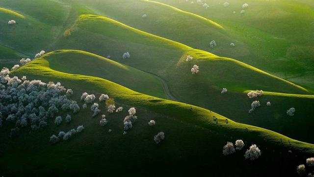 诗和远方 魅影新疆