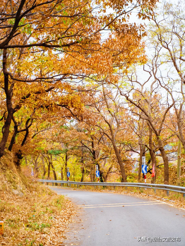 【乐游烟台】徒步天花板！烟台市区惊现山海画廊