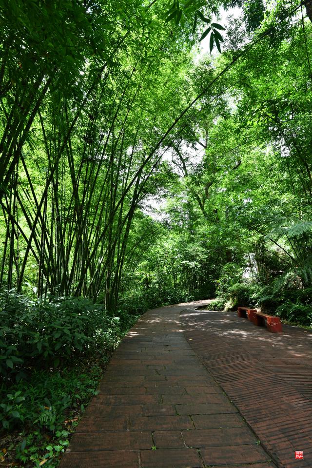 赤水四洞沟瀑布