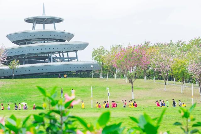 连休5日！桂城遛娃宝藏路线大公开
