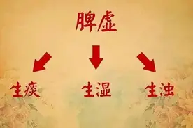 三伏天学会用陈皮煮水，赶跑一身痰湿，还能疏肝理气，健脾养胃！图片