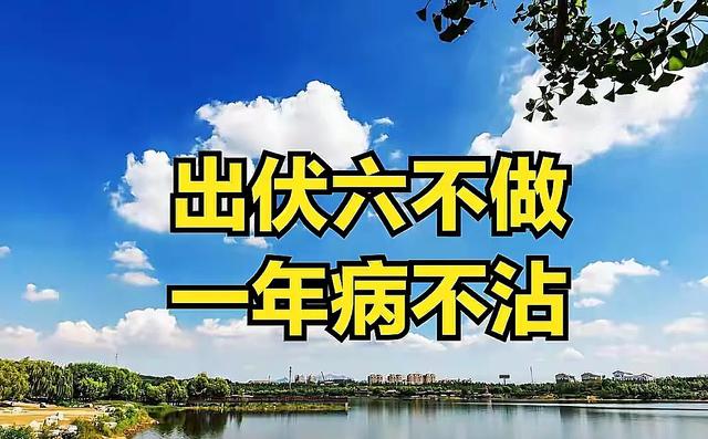 明日出伏，“出伏六不做，一年病不沾”，是哪6不做，请提前注意