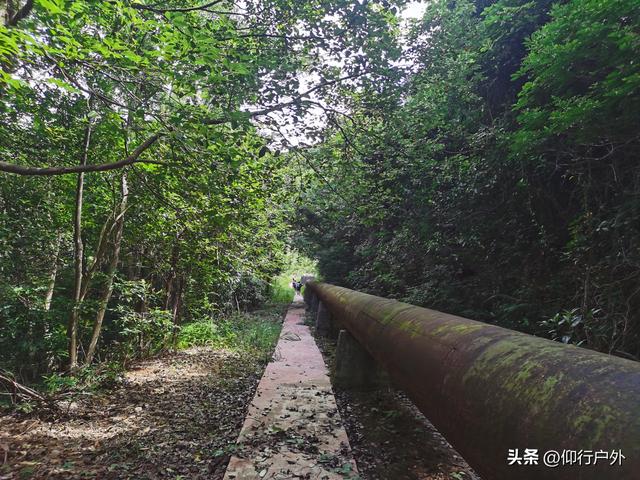 陆丰白水寨溯溪