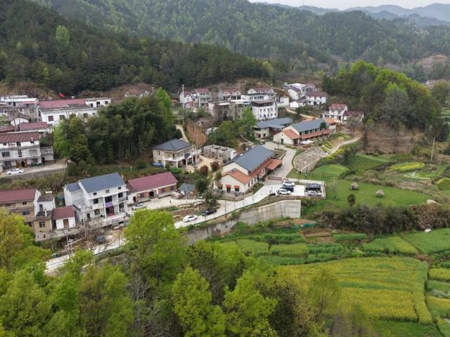 春游江淮丨在安庆的紫云英花海，把幸福开满春天