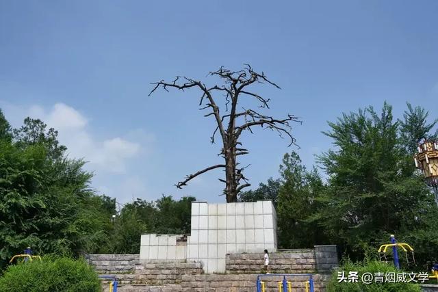 风雨中的热爱