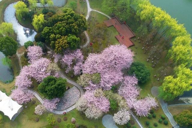 免费！无锡“巨无霸”公园火了