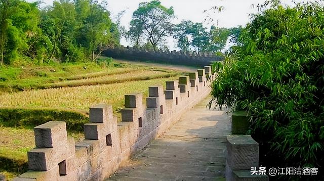 八年如一梦，年年凭吊神臂城，老泸州的精神让我泪目