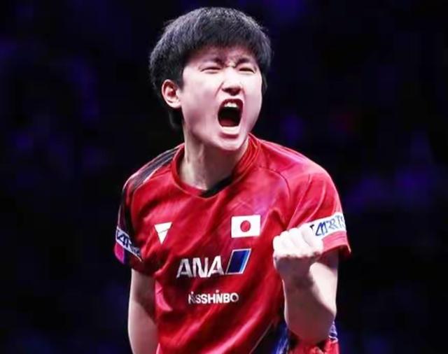 北京乒乓球大满贯开打！33名国乒球员出战，张本智和兄妹冲冠受阻