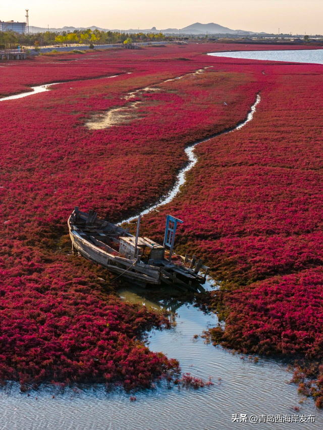 好！多！颜！色！啊！