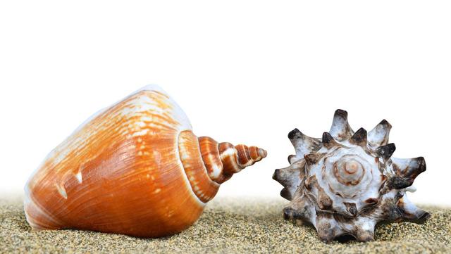 戈壁娃闯青岛！海的乡愁，酒的酣畅