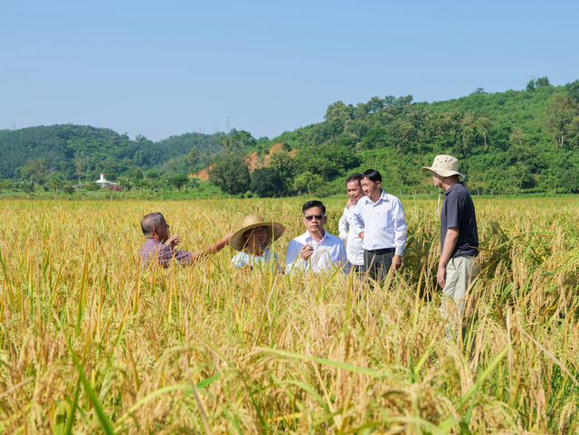 亚洲最贫困国：落后中国30年，女性开放，游客去了可以当富豪