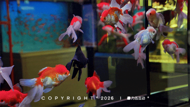 “马”上逛花街！珠海20年老花市焕新登场，新春打卡攻略速收！