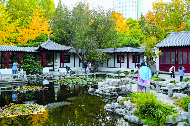 影像纪实 | 石家庄：一城斑斓入画来