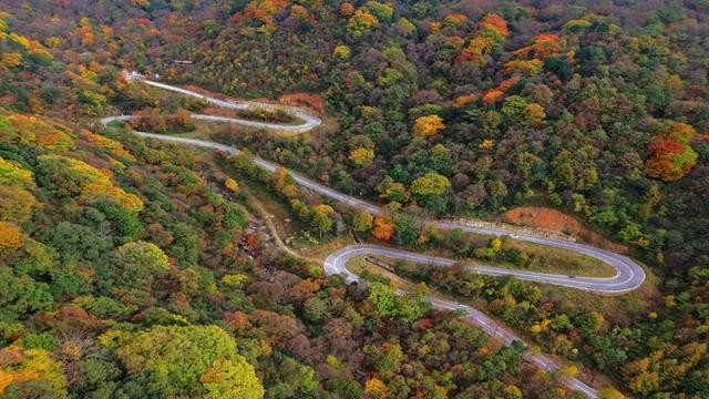 昨日实拍！层林尽染盐井峡，漫山红叶醉秋风，观赏正当时