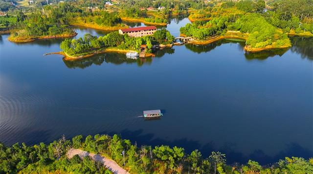 湖光山色 + 野鸭嬉戏！垫江迎风湖的初冬美景藏不住啦～