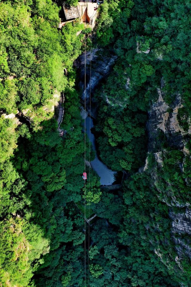 我想离开浪浪山，去房山看看！
