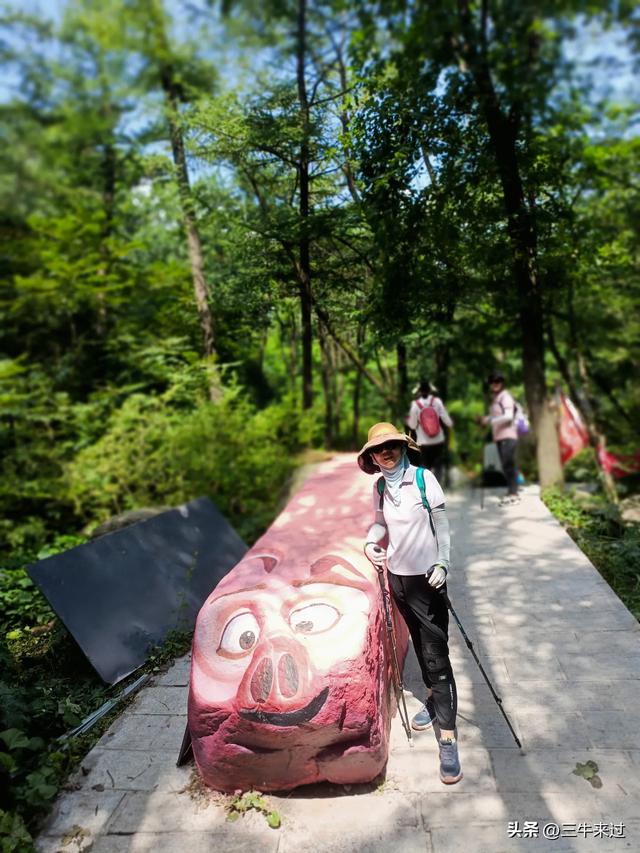 无为在歧路，避暑去鲁山