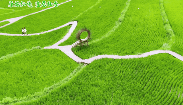 热得遭不住了？汉中喊你来“耍水”