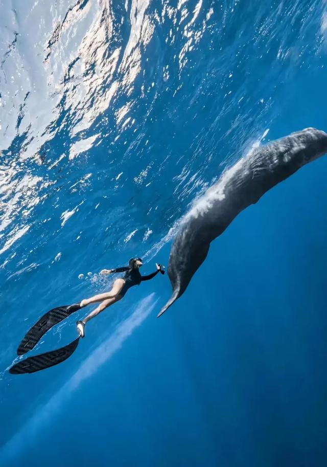 深海悲歌，中国女游客潜水遇难