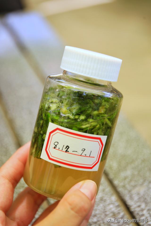 顺德亲子游 | 住进奥特曼主题房，体验趣味之旅