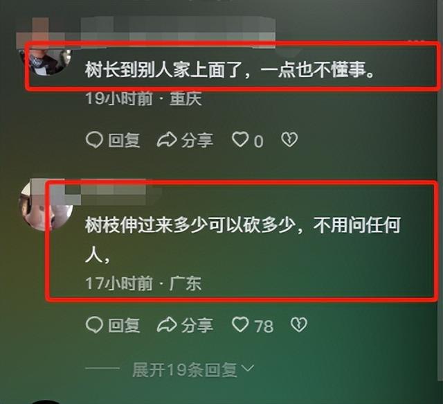 全红婵家建房最新情况：施工受阻，邻居仍不肯砍树，现场照片曝光