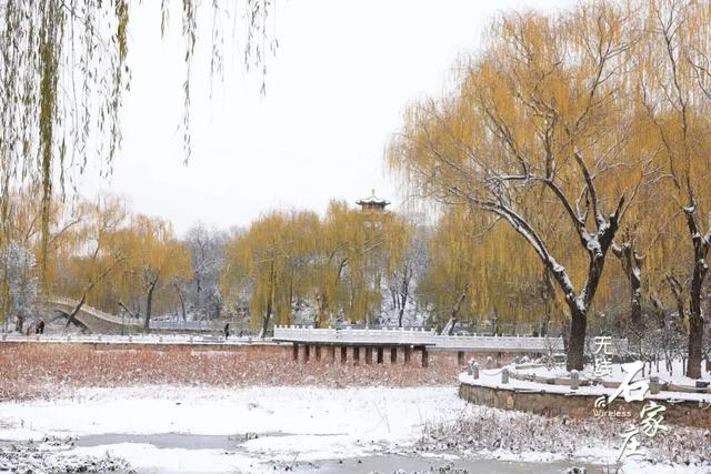 收好这份石家庄“雪景打卡地图”！走起→