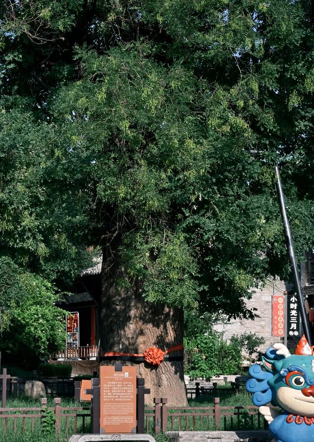 我是广东人，刚从山东青州回来，憋了7个疑问和感受不吐不快。