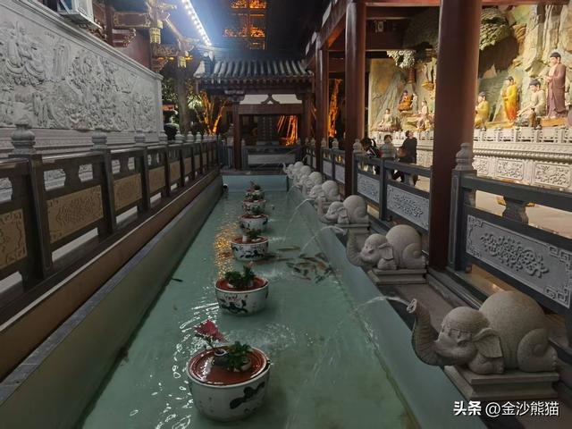 从厦门到漳浦诞生此行第一胎 品美味河豚 双龙连续第三年千里双骑9