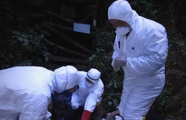 尼帕病毒	”来势汹汹，建议：每家备好6样东西	，关键时刻能救命