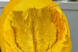 云南奇葩水果——吃一口捶三下胸的鸡蛋果你肯定没吃过！图片