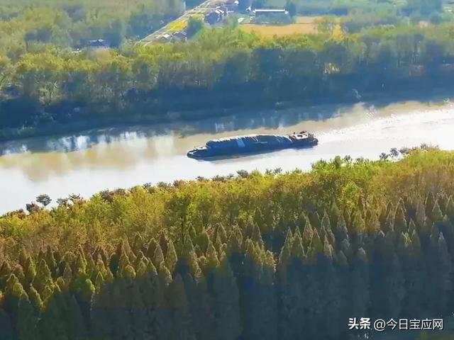 2025年与粉黛乱子草的第一次邂逅