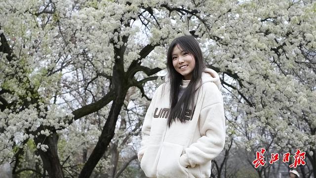 市民争相“合影”！这株15米高的梨花树，雨后更显娇艳