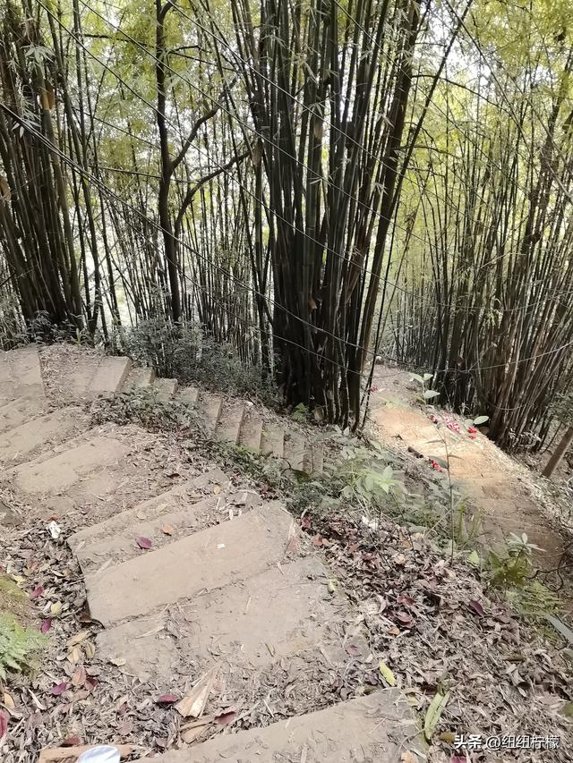 户外徒步之挑战缙云九峰，从健身梯道到狮子峰，走了四小时