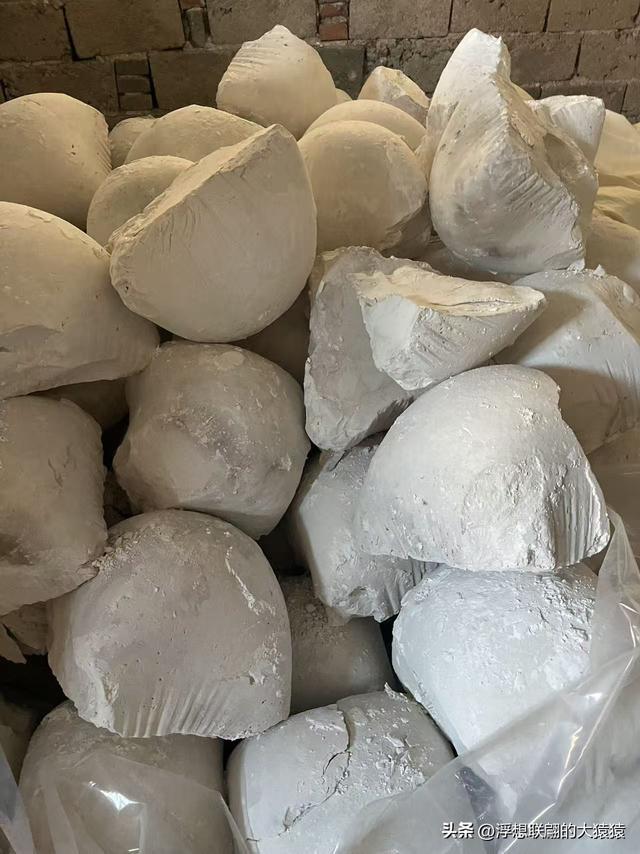 游赏过九鼎山后，我又跑到一户院里“强买”了大爷种在路边的白菜