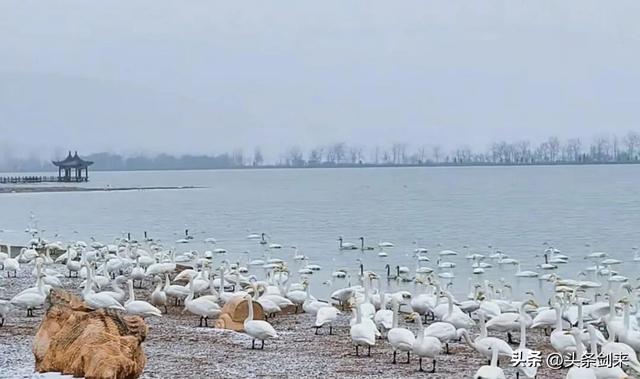 跟着舞剧游芮城——从上海到芮城，2.5小时穿越千年…