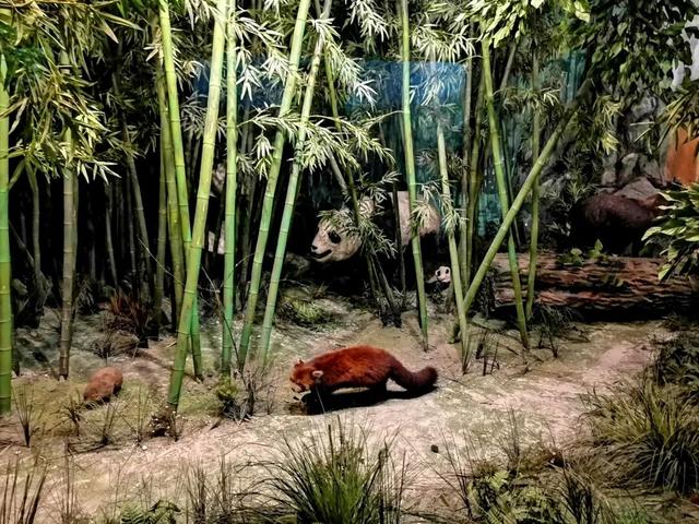 长春拟新增2家4A级景区