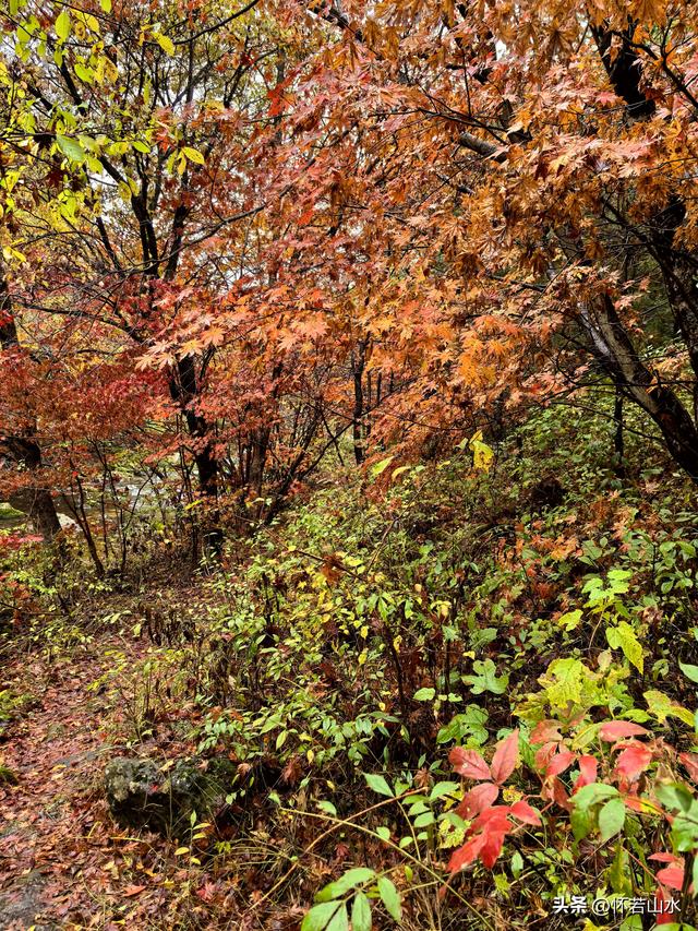 2025辽宁赏秋之旅日记(3)——游览洋湖沟和老边沟