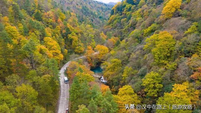 多图实拍!这才是汉中的秋日顶流!