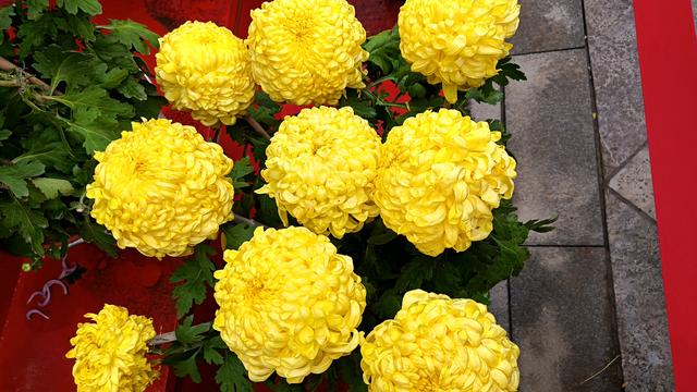 快乐之旅一一开封之旅纪实之一