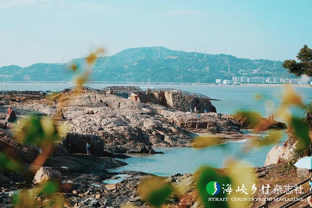 【金牌旅游村】福建｜福鼎市渔井村：海蚀奇观 渔家风情