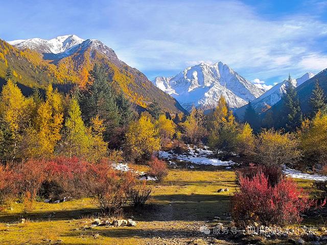 亚拉神山的呼吸，凝固的神马，流淌的牧歌